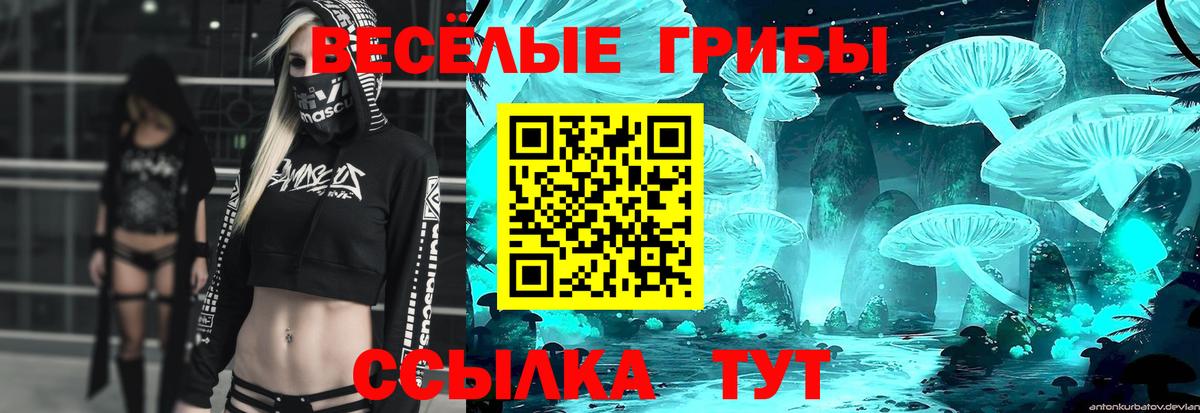 Псилоцибиновые грибы прущие грибы Чайковский